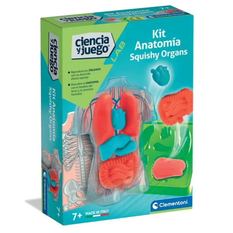 Clementoni Kit Anatomía Squishy Organs3