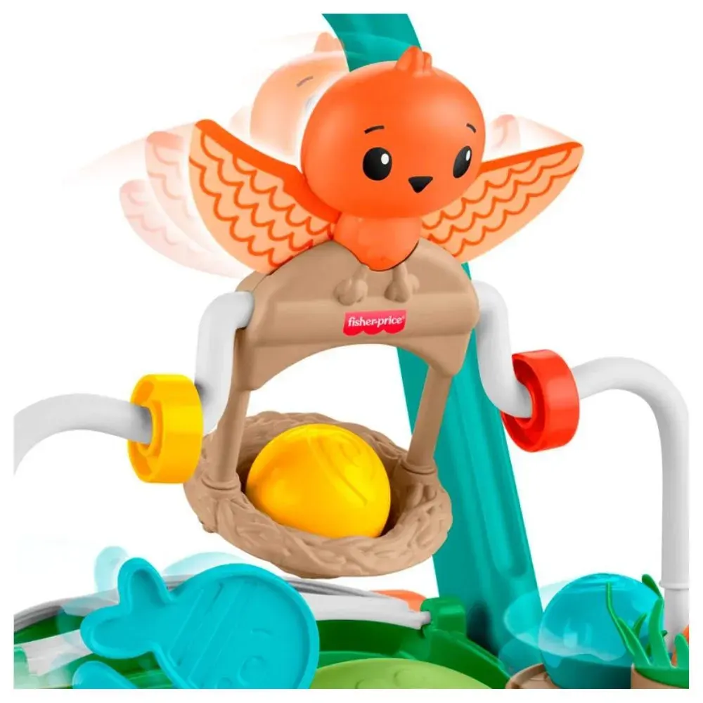 Fisher-price Andadera Para Bebés Tortuga Primeros Pasos4