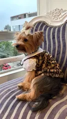 Chaleco animal print clasico