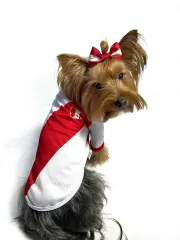Polo de la selección peruana