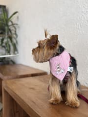 Bandana luxury reversible pascua - Rosa
