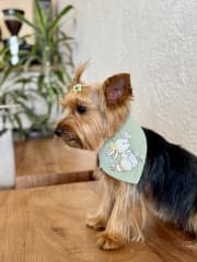 Bandana luxury reversible pascua - Pistacho
