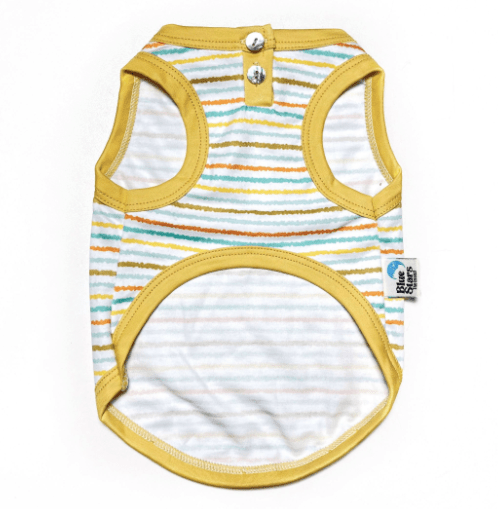 BIVIDI SUNRISE PIMA3