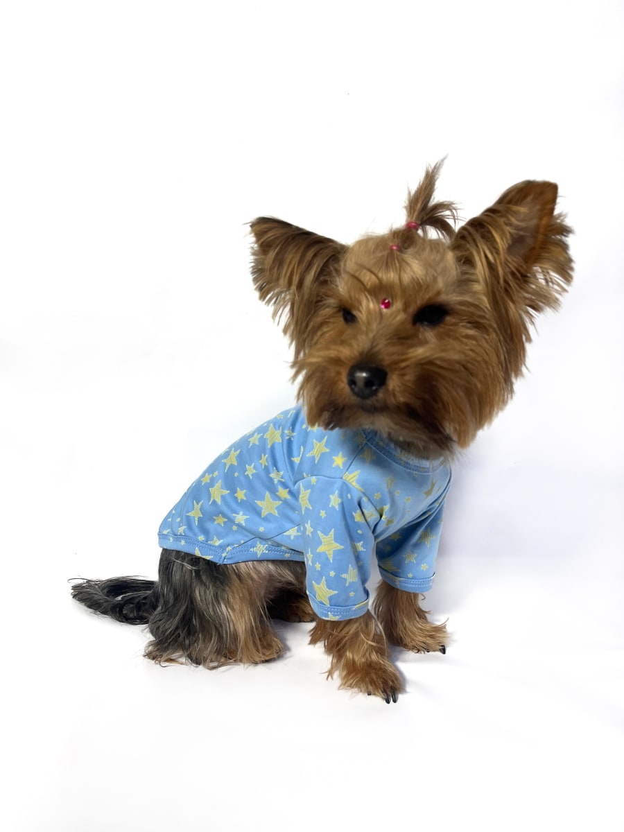 POLO BLUE STARS MANGA LARGA2