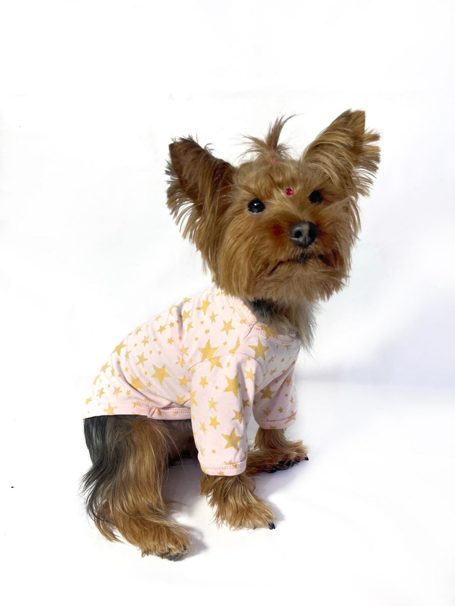 POLO PINK STARS MANGA ARGA1