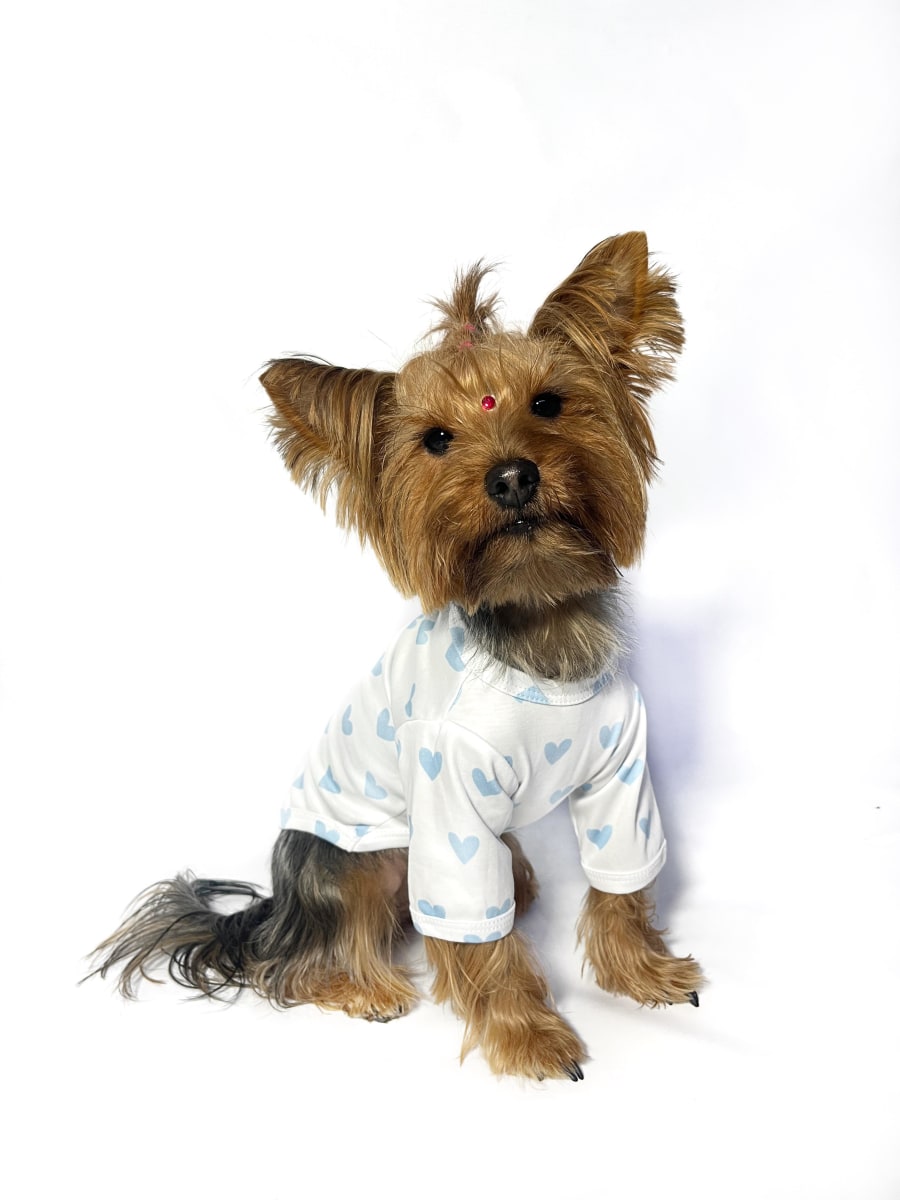 POLO HEART CELESTE PIMA2