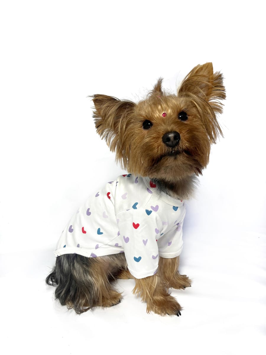 POLO HEART LILA PIMA2