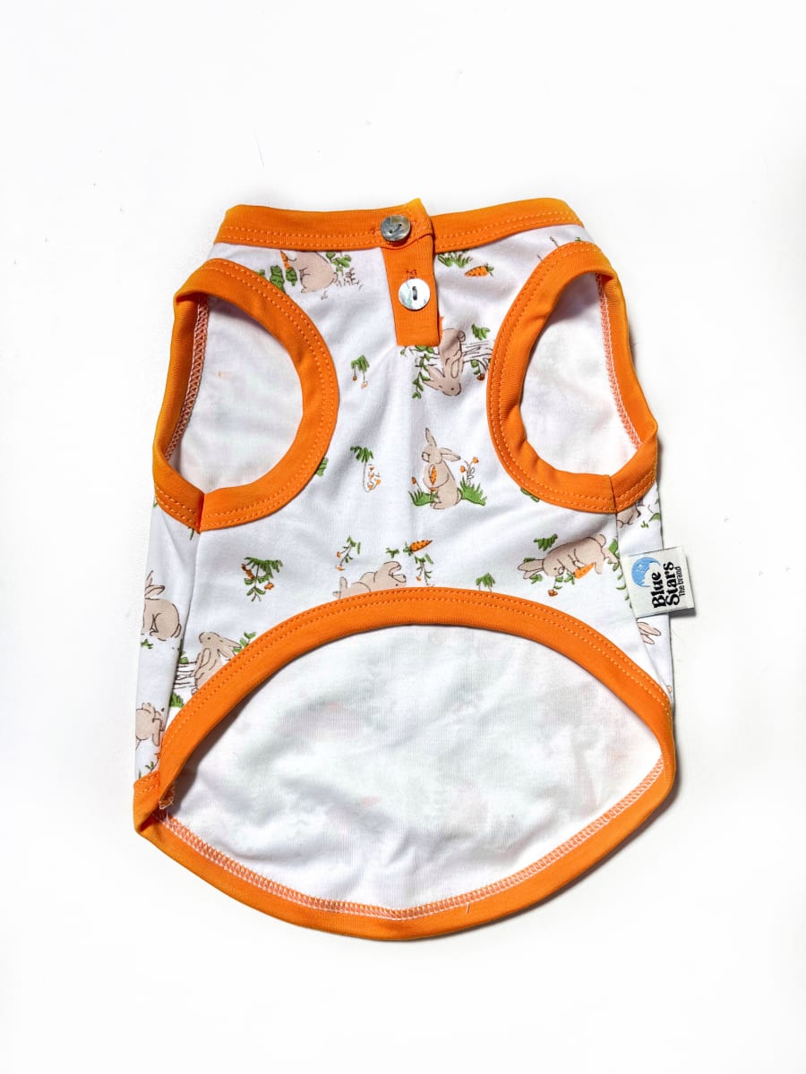 BIVIDI RABBIT CON BOTONES PIMA2