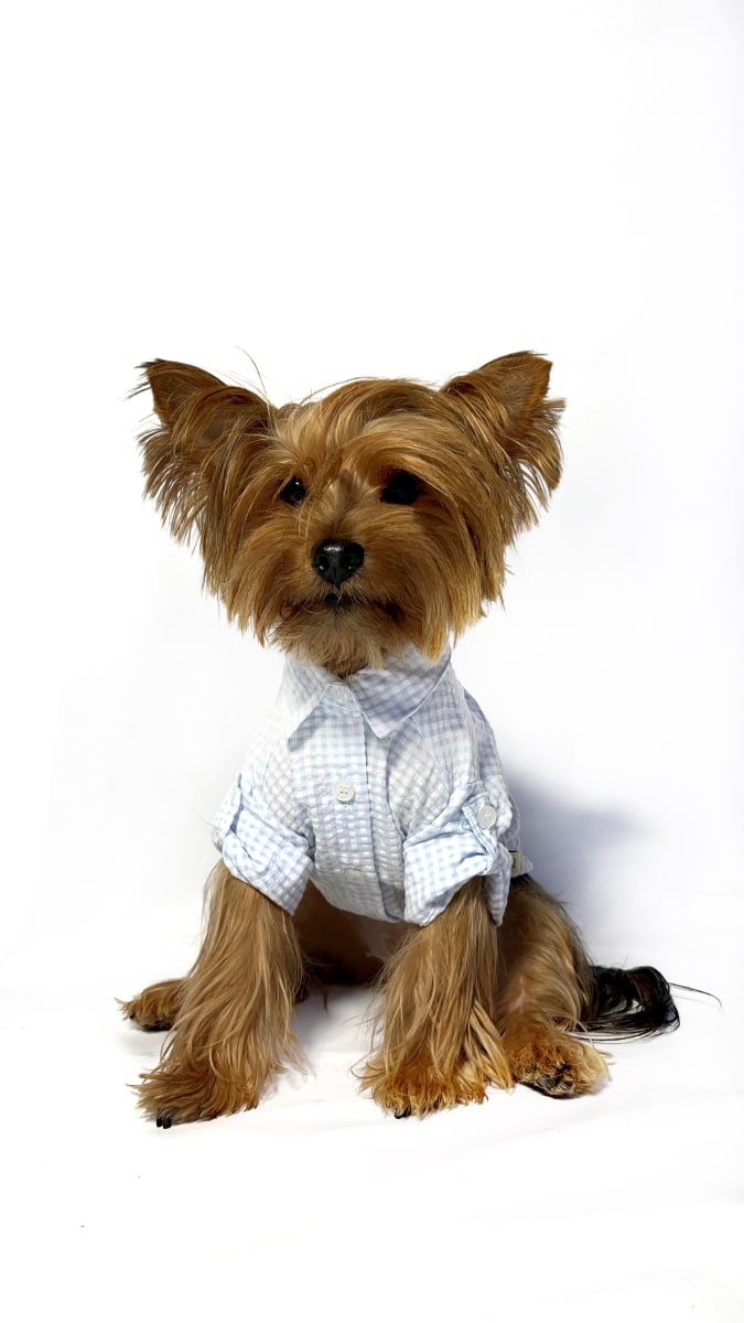 CAMISA VICHY CELESTE ALGODÓN3