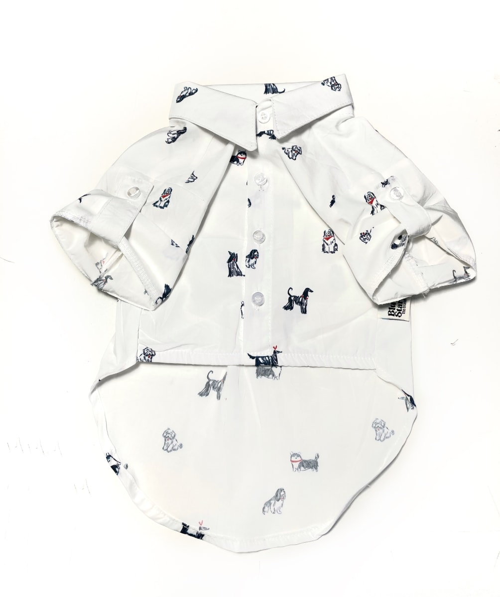 CAMISA DOGGY ALGODÓN2