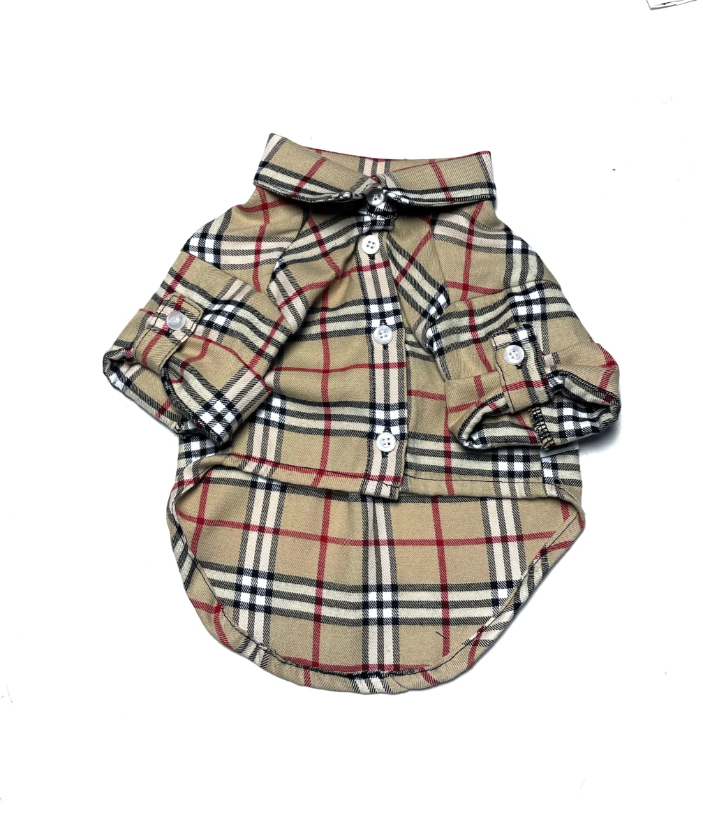 CAMISA BURBERRY ALGODÓN2