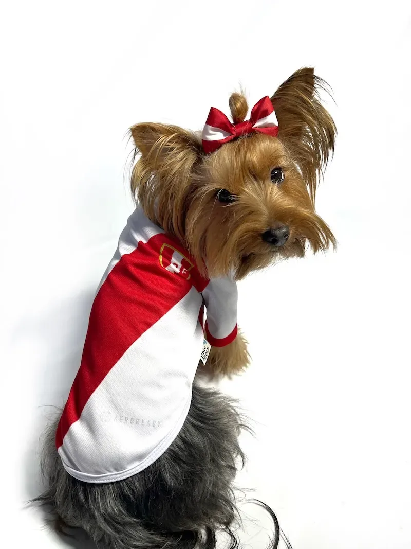 Polo de la selección peruana1