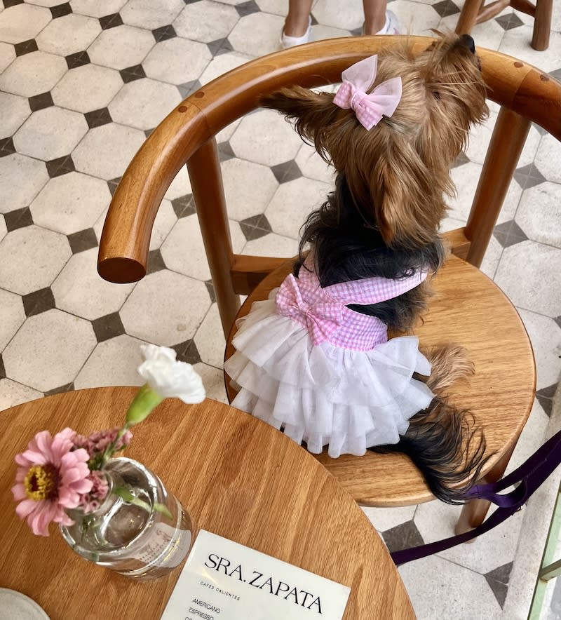 VESTIDO AMELIA VICHY ROSA1