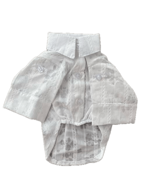 CAMISA BLAS  LOTO TRANSPARENTE1