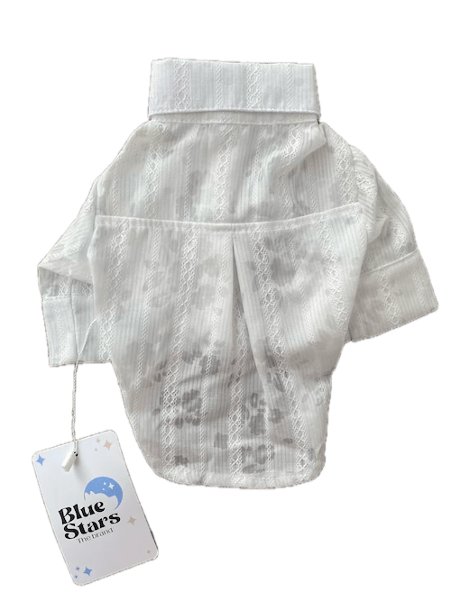 CAMISA BLAS  LOTO TRANSPARENTE2