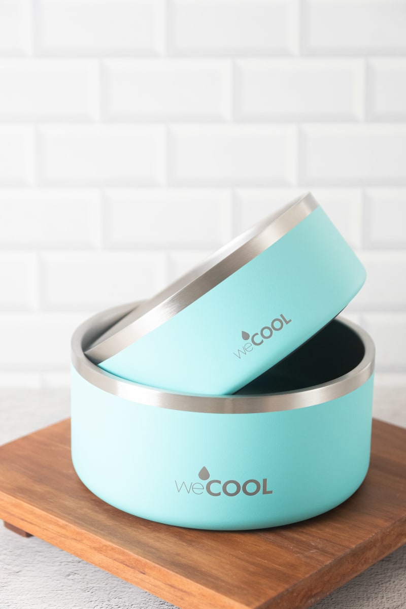 Plato de acero inoxidable WECOOL 64 oz2