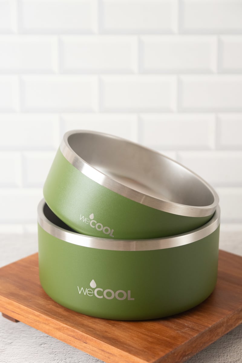 Plato de acero inoxidable WECOOL 64 oz3