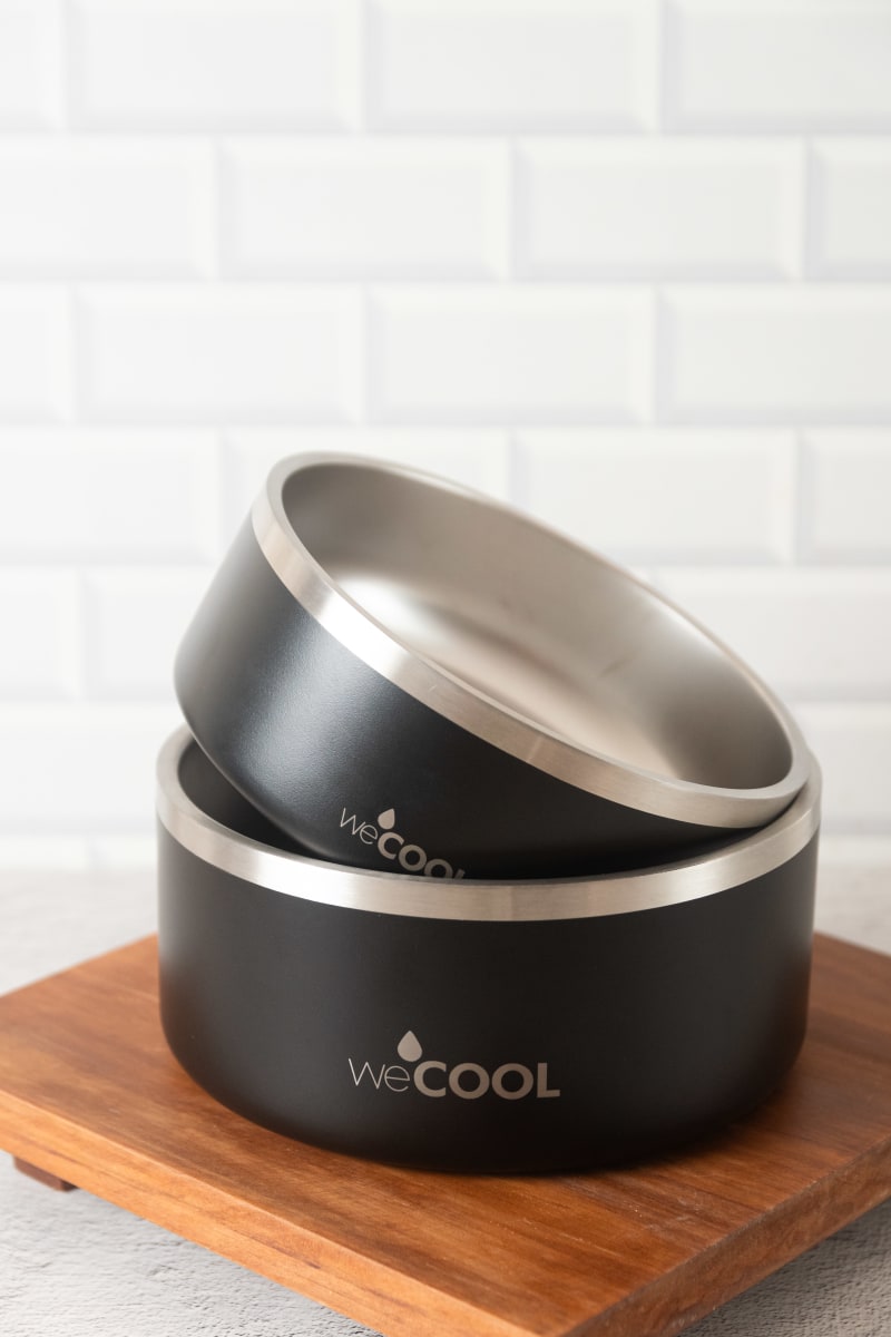 Plato de acero inoxidable WECOOL 32oz1