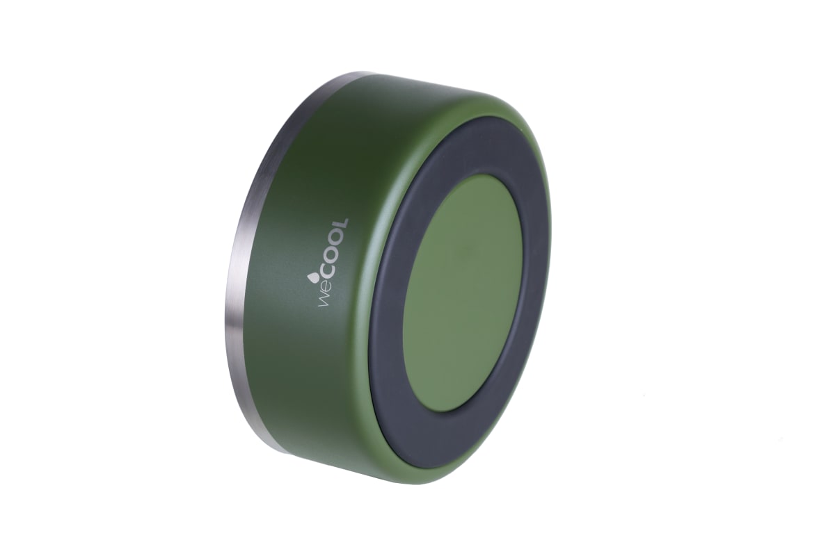 Plato de acero inoxidable WECOOL 32oz4