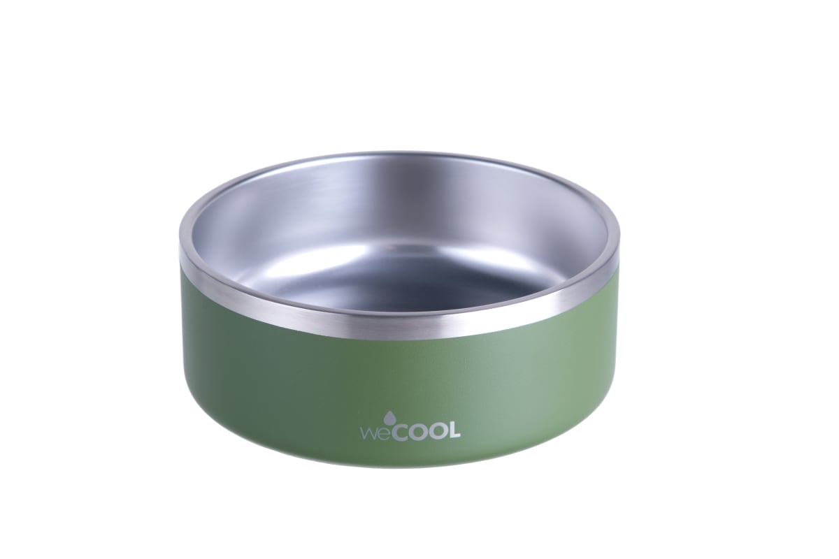 Plato de acero inoxidable WECOOL 32oz6