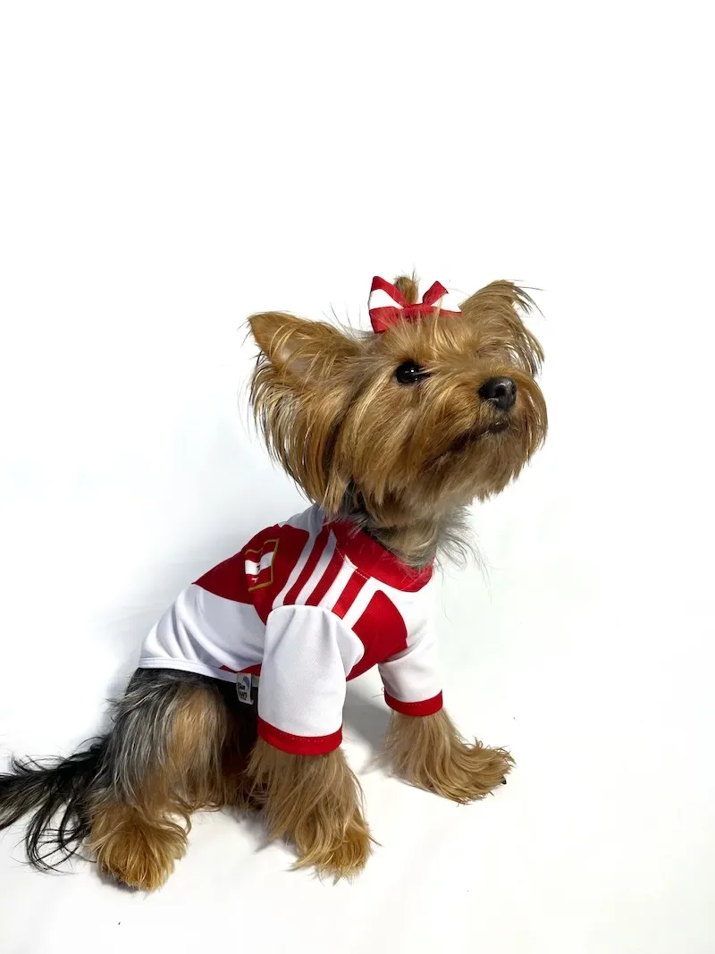 Polo de la selección peruana6