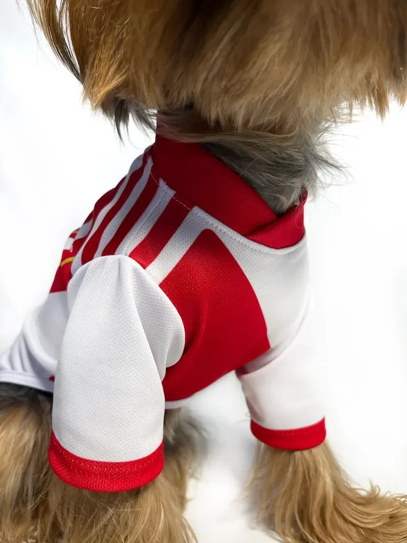 Polo de la selección peruana2