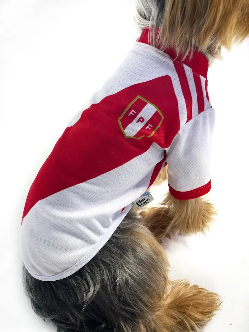 Polo de la selección peruana3