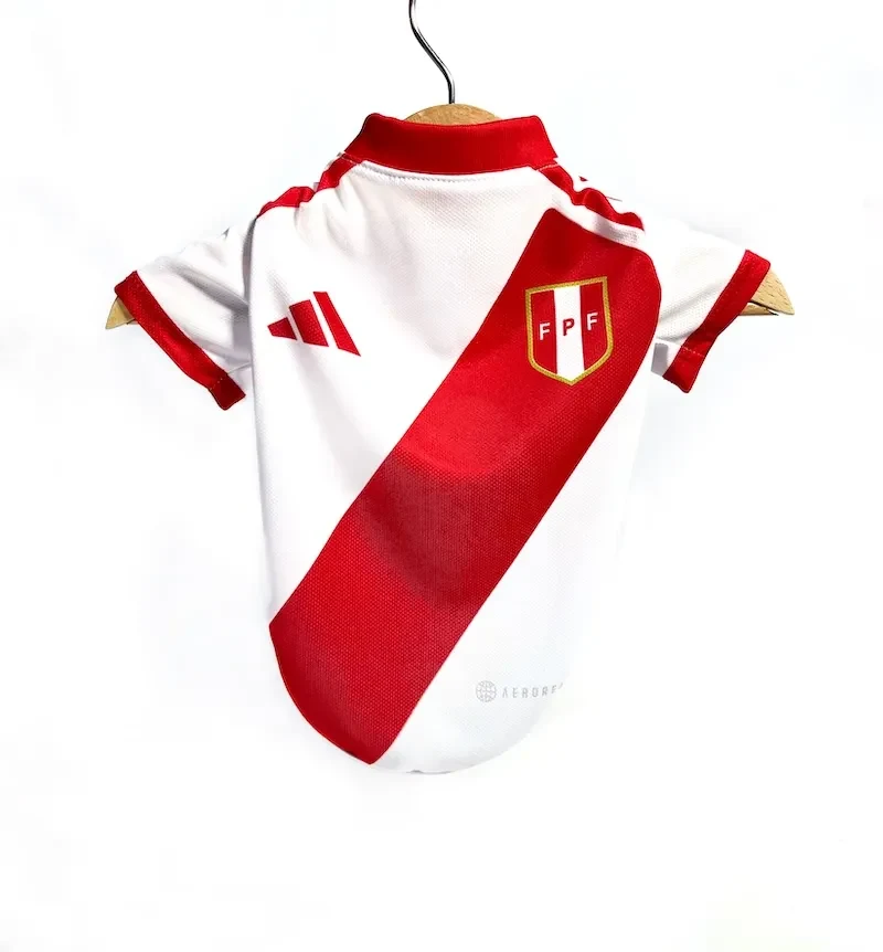 Polo de la selección peruana5
