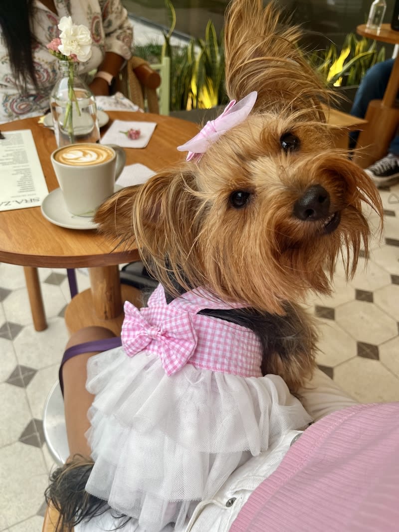 VESTIDO AMELIA VICHY ROSA4