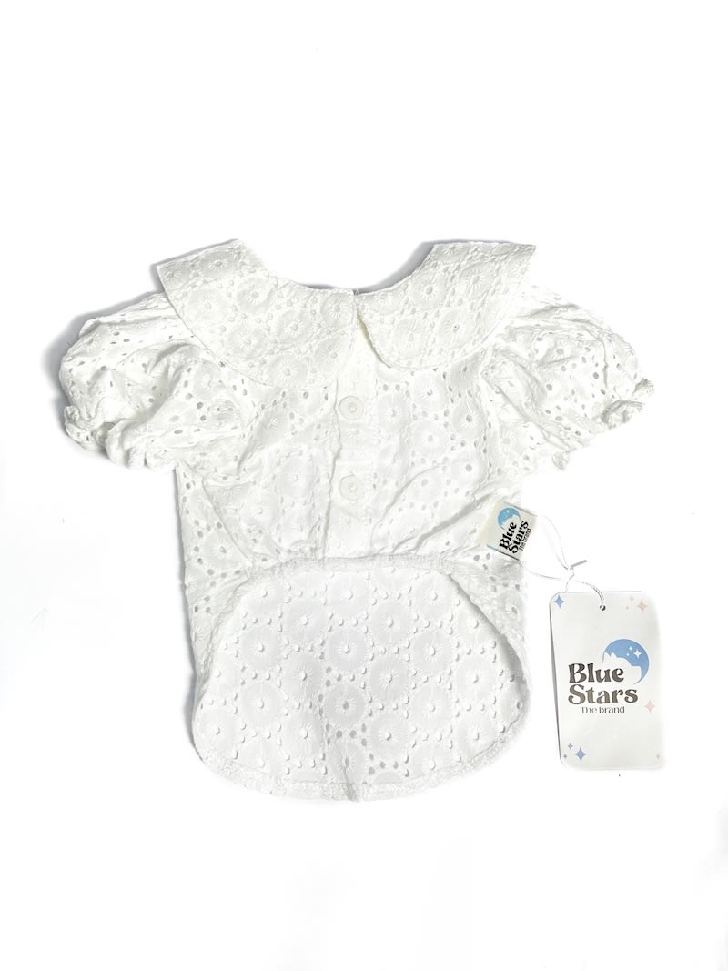 BLUSA MORENA DE BRODERI1