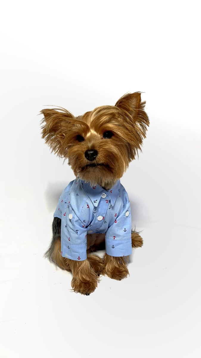 CAMISA ANCLAS ALGODÓN3
