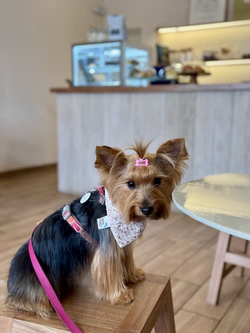 Bandana luxury reversible pascua - Rosa2