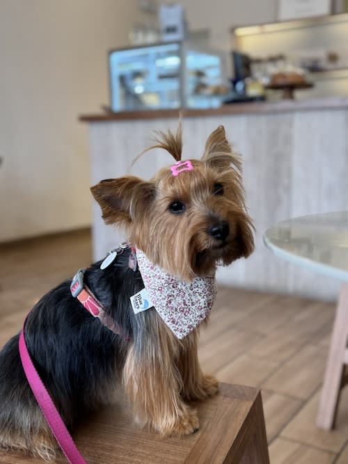 Bandana luxury reversible pascua - Rosa3