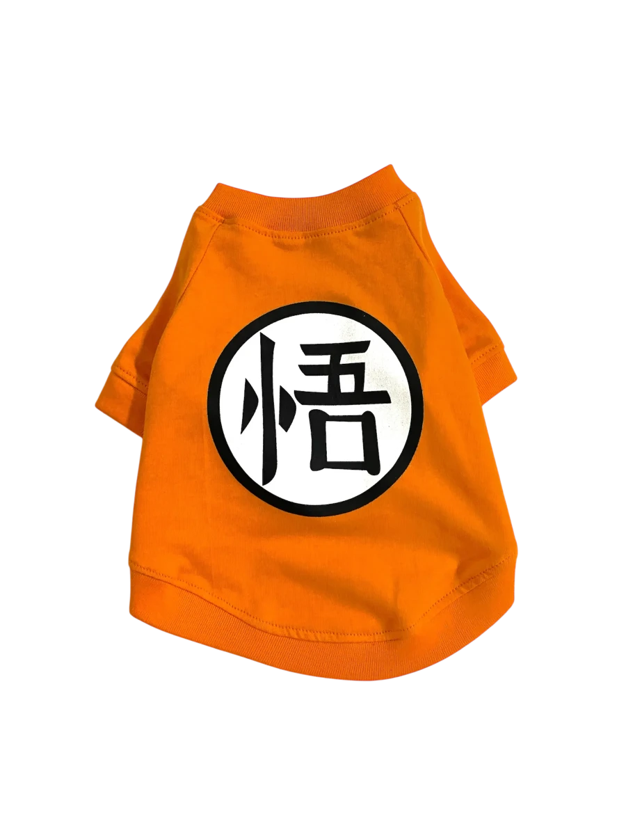 POLO GOKU1