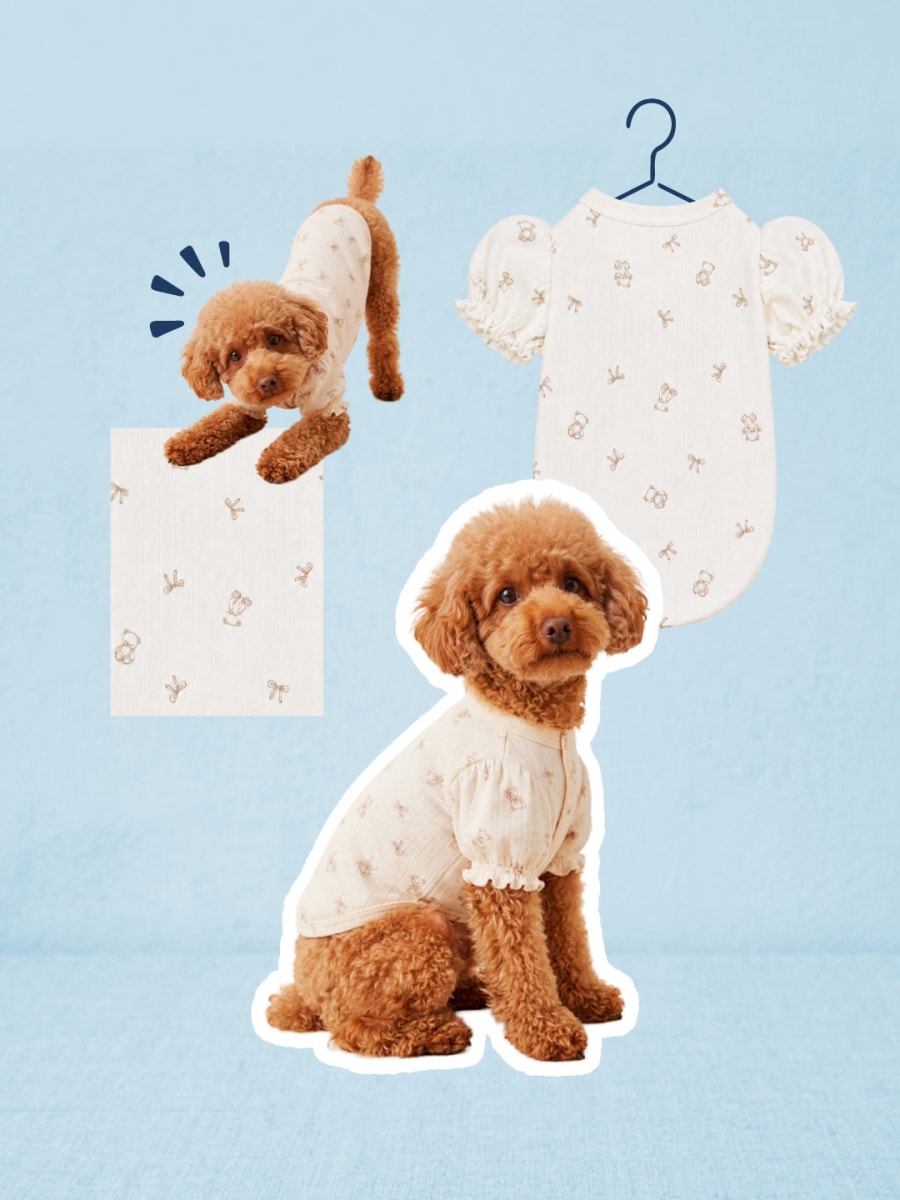 Polo Teddy  Bombacho2