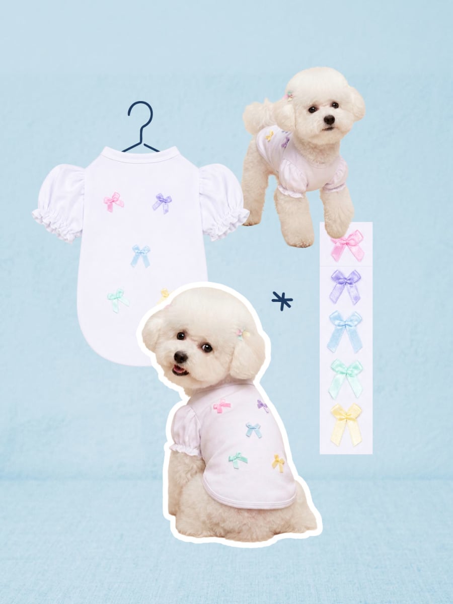 POLO LAZY BOMBACHO S/B2