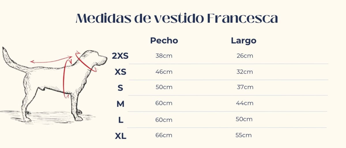 VESTIDO FRANCESCA2