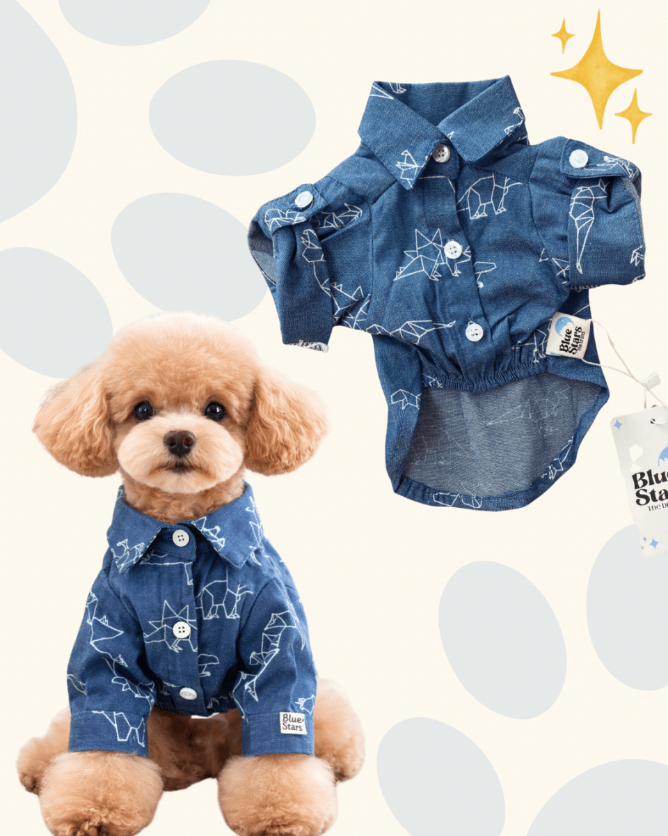 CAMISA BLAS DINO JEAN1