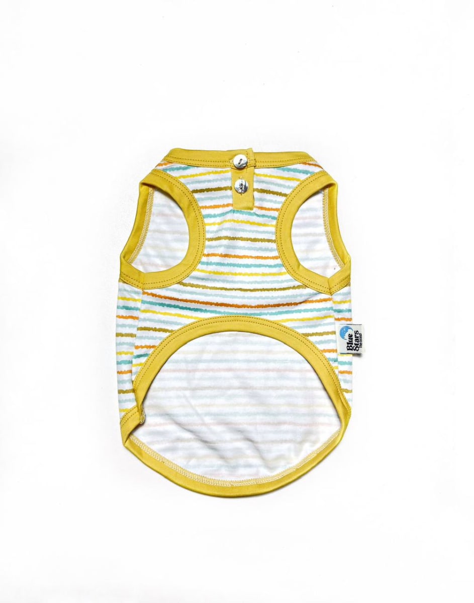 BIVIDI SUNRISE PIMA1