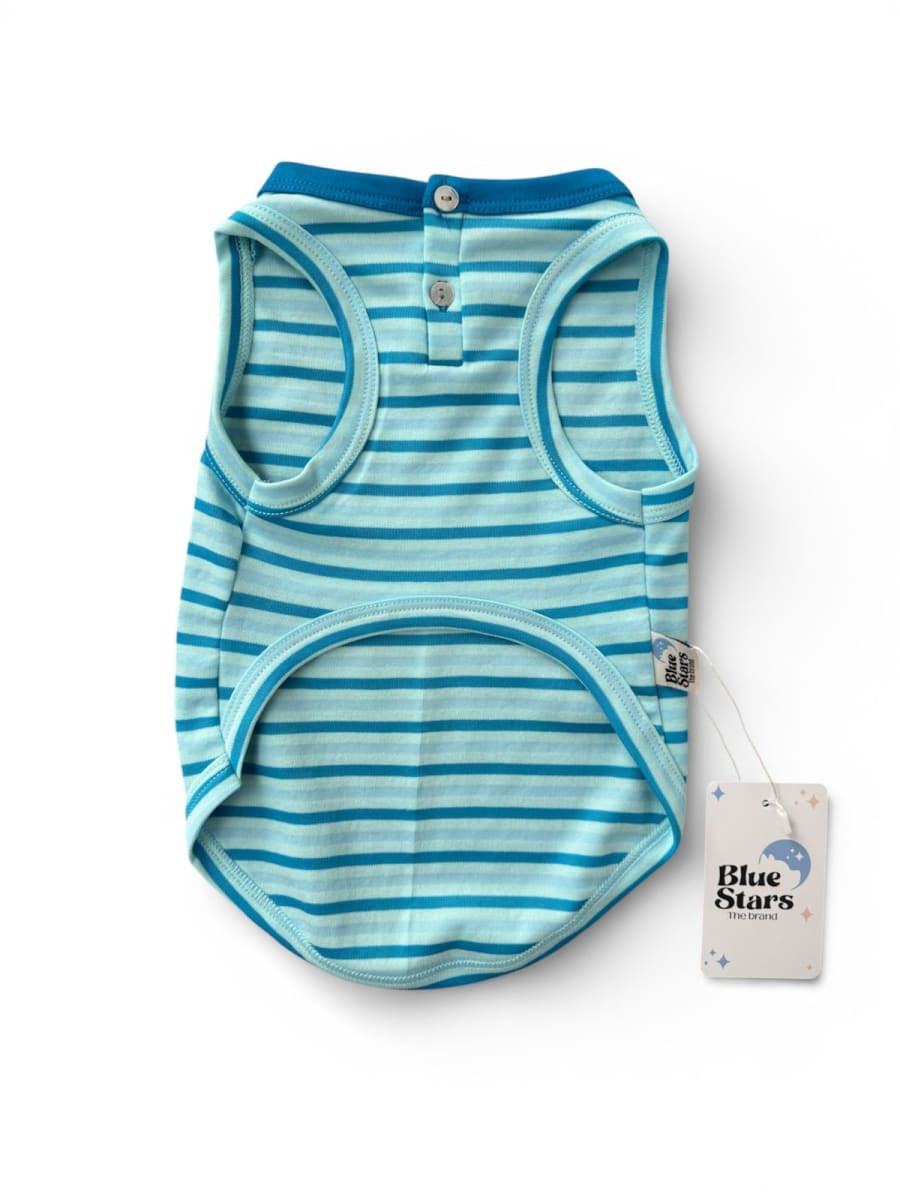 BIVIDI TURQUESA A RAYAS  CON BOTONES2