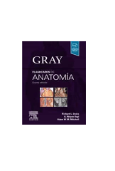 GRAY FLASHCARDS DE ANATOMIA - RICHARD L. DRAKE (EST. 2)