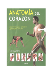 Anatomía del corazón