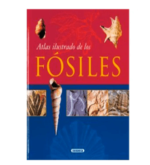 ATLAS ILUSTRADO DE FOSILES