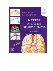 ATLAS DE NEUROCIENCIA