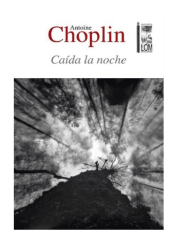 CAIDA LA NOCHE