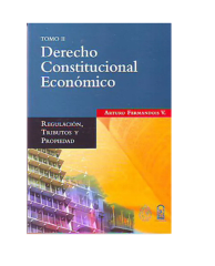 DERECHO CONSTITUCIONAL ECONOMICO (ARTURO FERNANDOIS V)