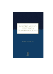 DERECHO MINERO  IDENTIDAD Y TRANSFORMACIONES