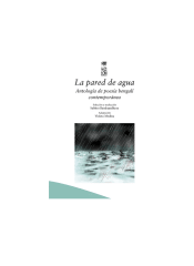 LA PARED DE AGUA