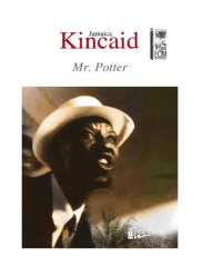 MR POTTER