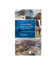 Productividad Minera en Chile: Diagnóstico y Propuestas